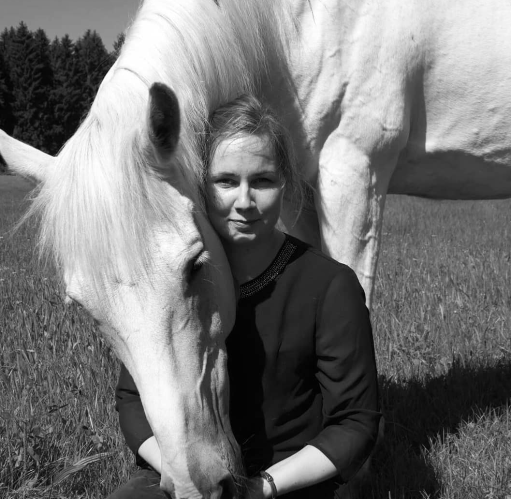 Unbenannter Beitrag 6